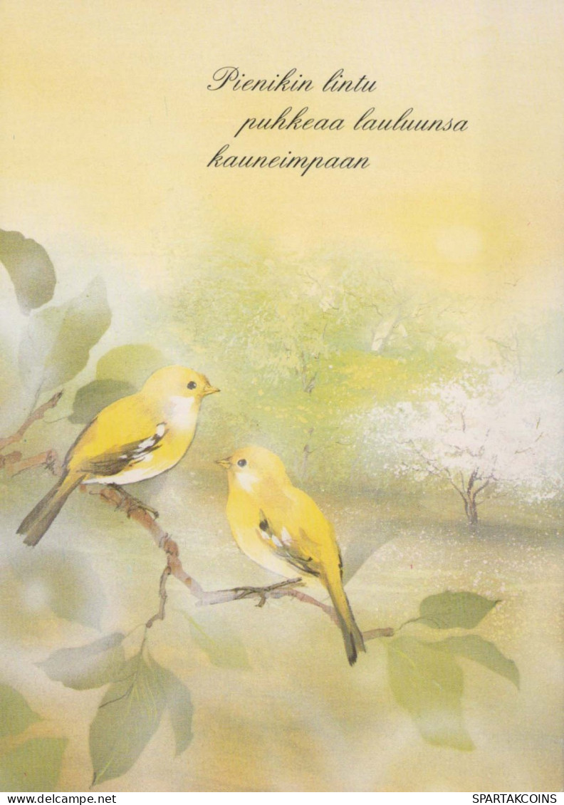 PÁJARO Animales Vintage Tarjeta Postal CPSM #PBR469.ES - Oiseaux