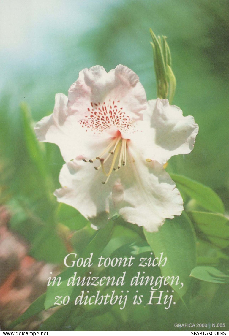 FLOWERS Vintage Ansichtskarte Postkarte CPSM #PAR834.DE - Fleurs