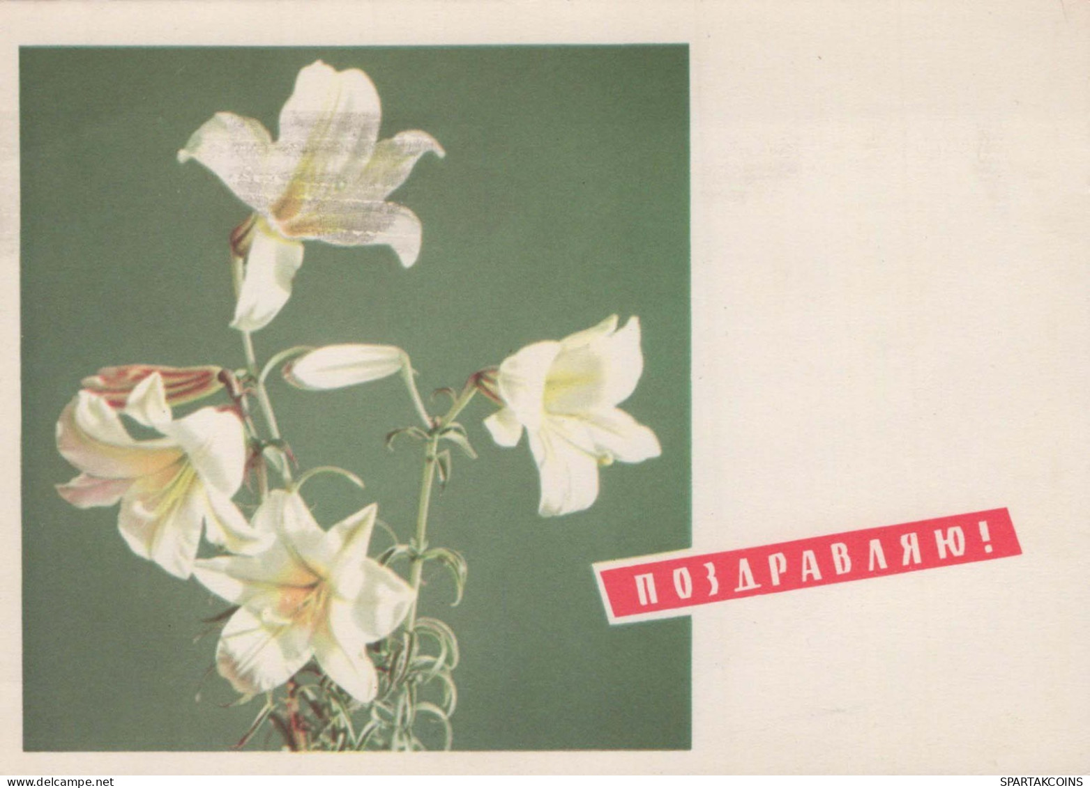 FLOWERS Vintage Ansichtskarte Postkarte CPSM #PAR714.DE - Flowers