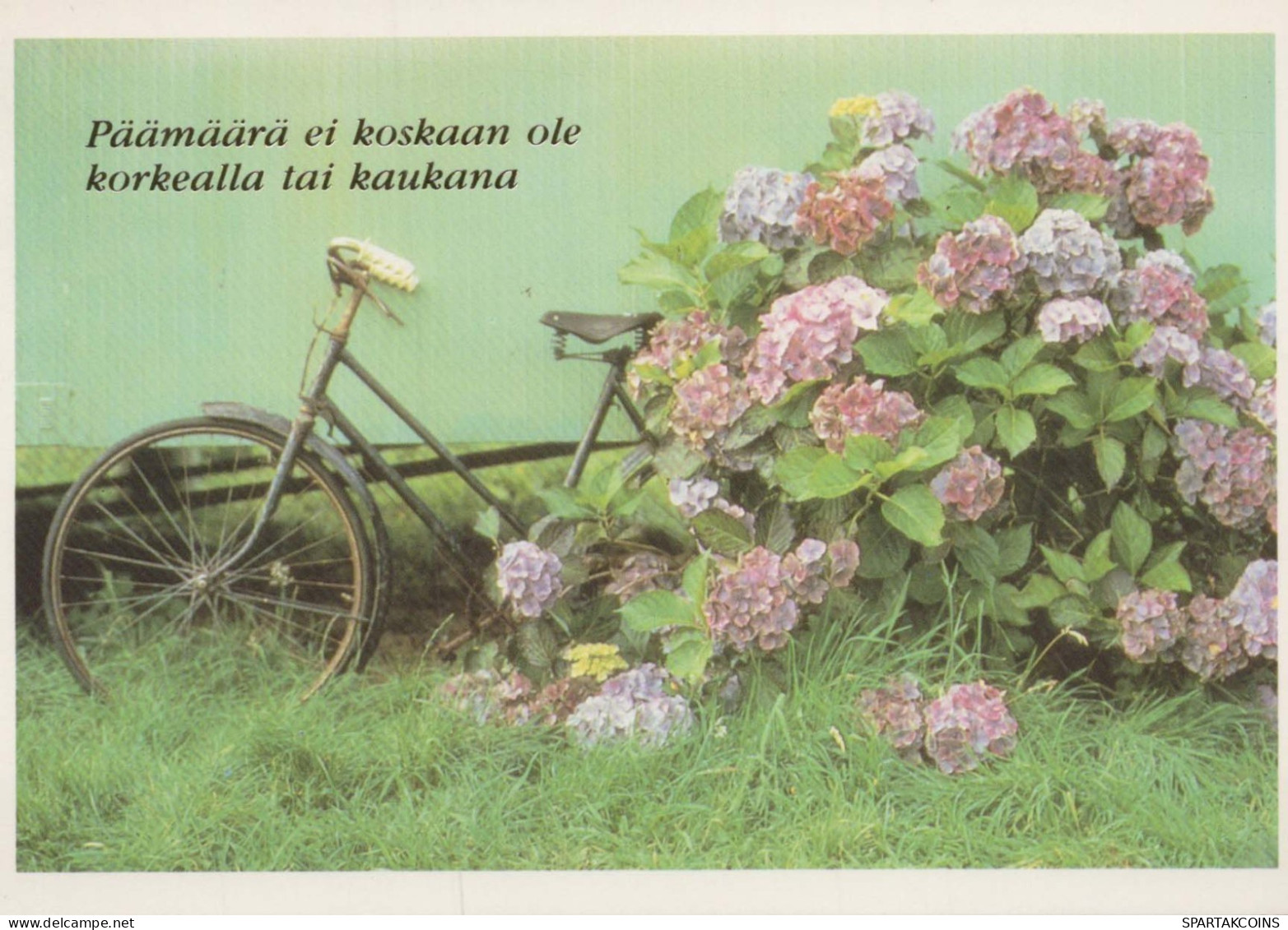 FLOWERS Vintage Ansichtskarte Postkarte CPSM #PAR354.DE - Flowers