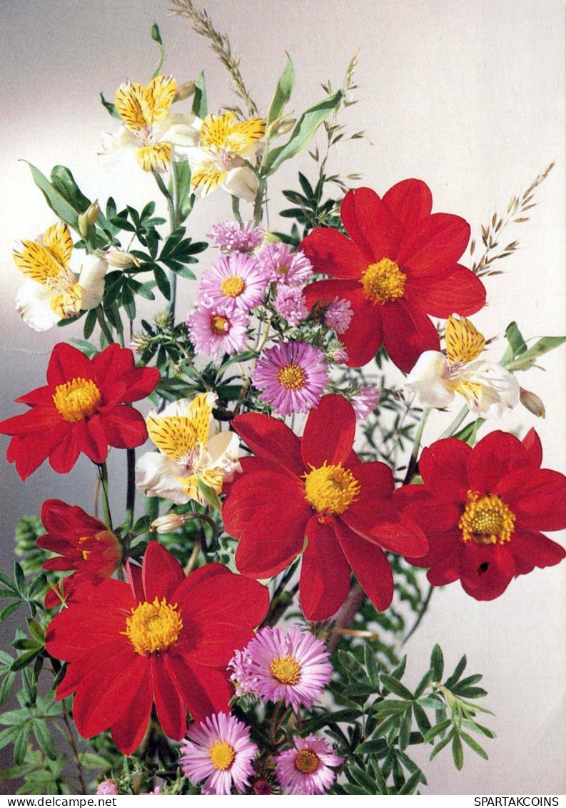 FLOWERS Vintage Ansichtskarte Postkarte CPSM #PAR173.DE - Flowers