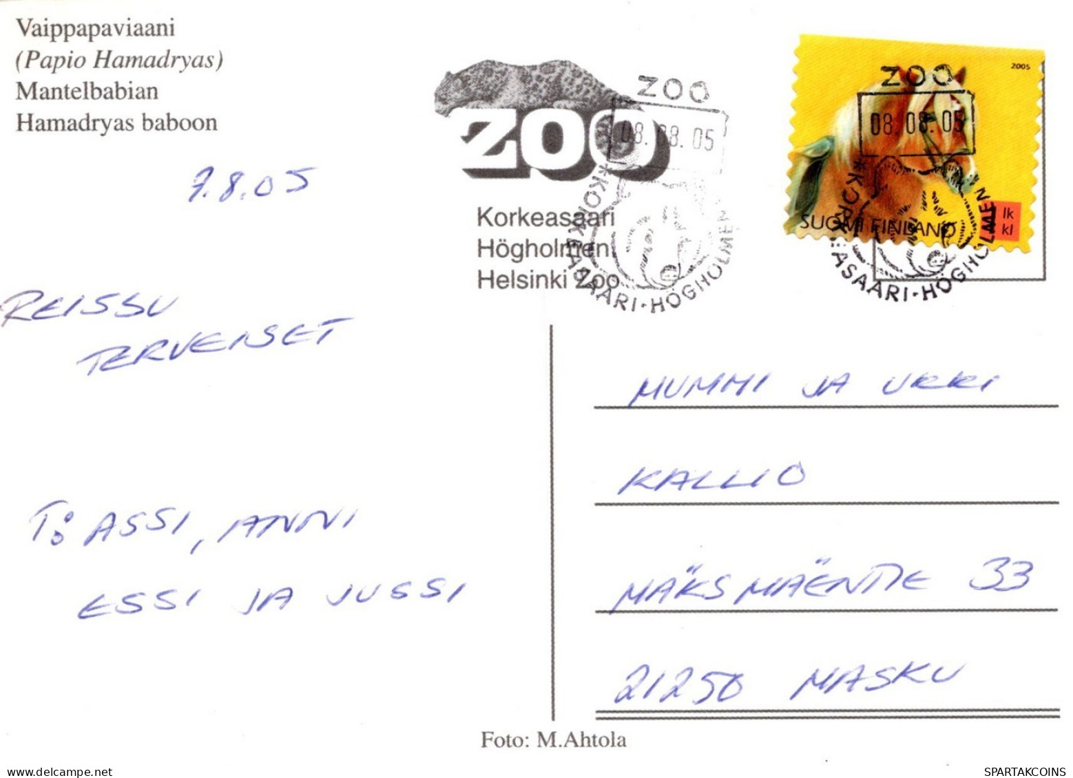 AFFE Tier Vintage Ansichtskarte Postkarte CPSM #PAN991.DE - Singes