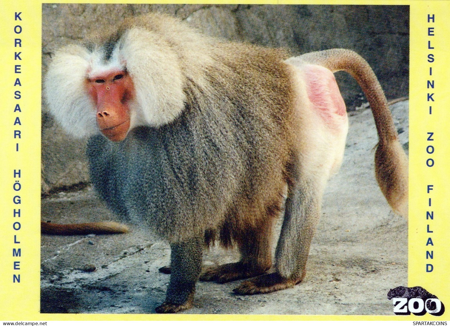 AFFE Tier Vintage Ansichtskarte Postkarte CPSM #PAN991.DE - Monkeys