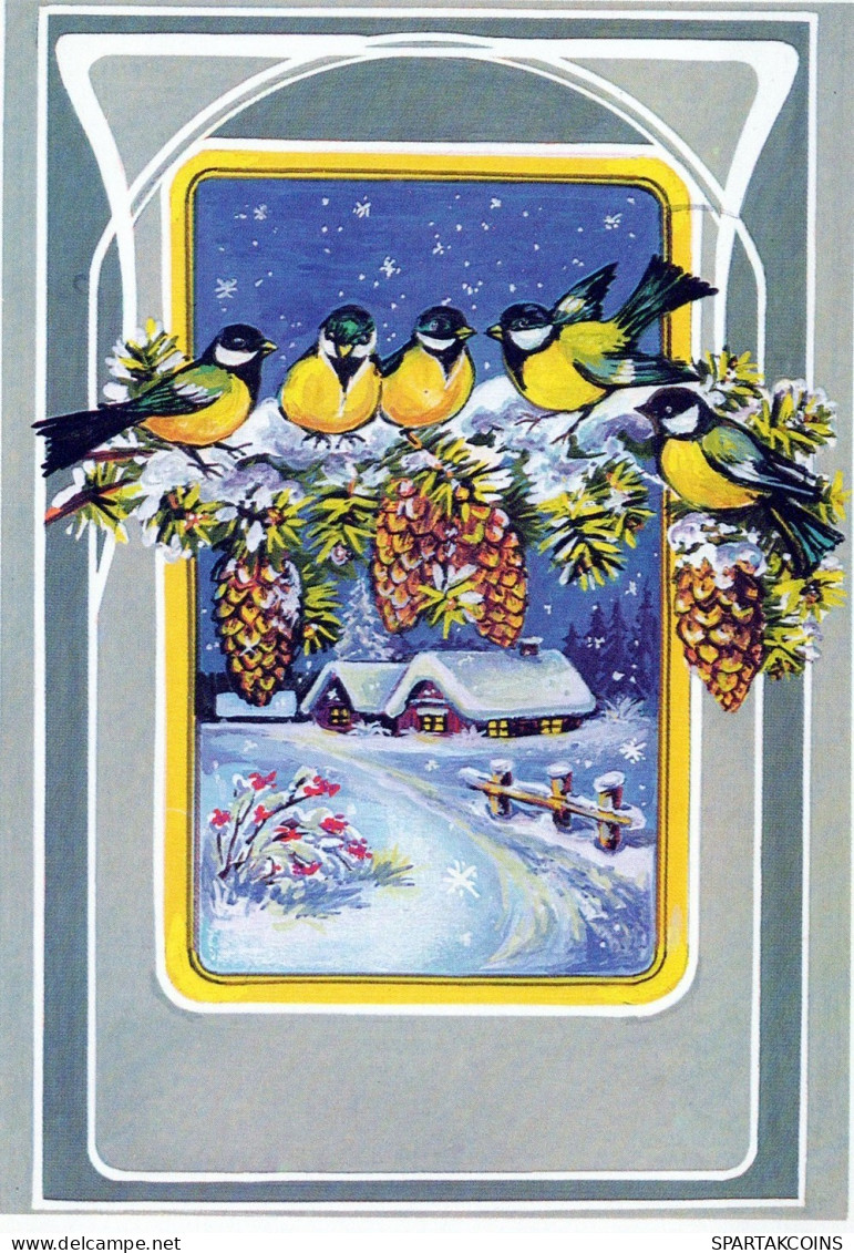 VOGEL Tier Vintage Ansichtskarte Postkarte CPSM #PAM783.DE - Pájaros