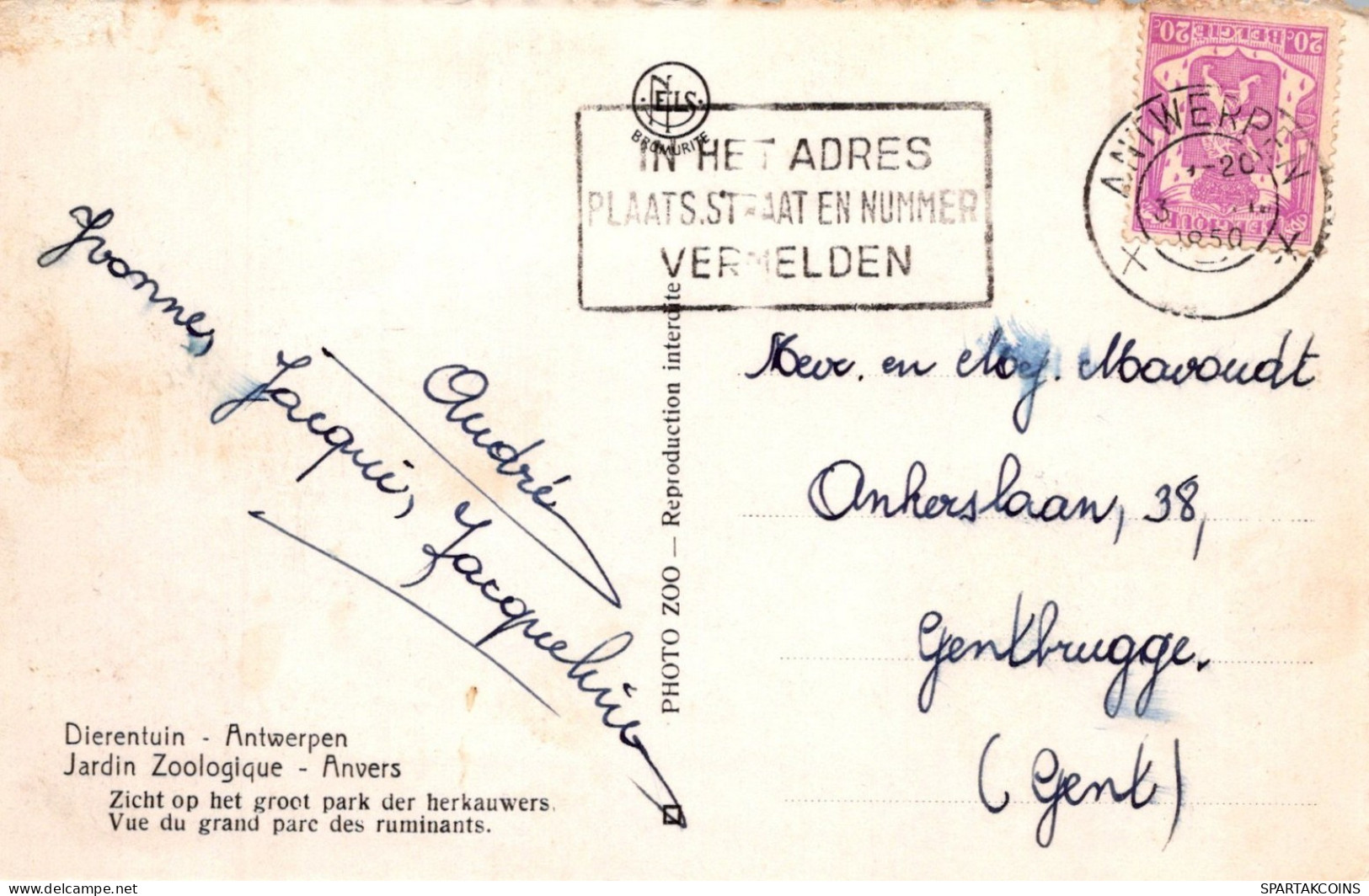 BELGIQUE ANVERS Carte Postale CPA #PAD448.FR - Antwerpen