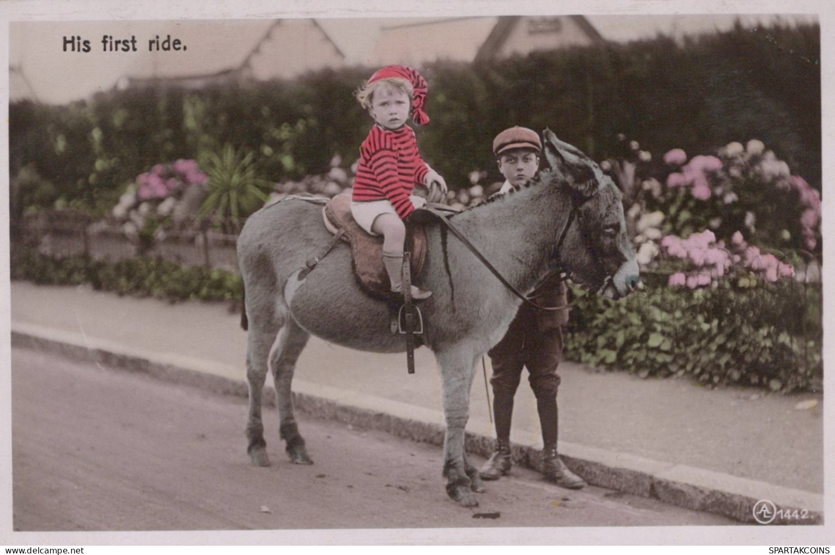 ÂNE Animaux Vintage Antique CPA Carte Postale #PAA033.FR - Anes