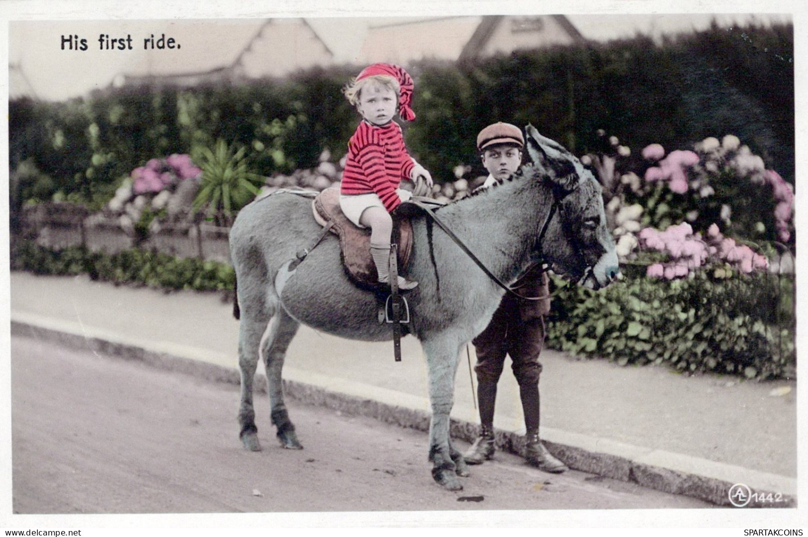 ÂNE Animaux Vintage Antique CPA Carte Postale #PAA033.FR - Ezels