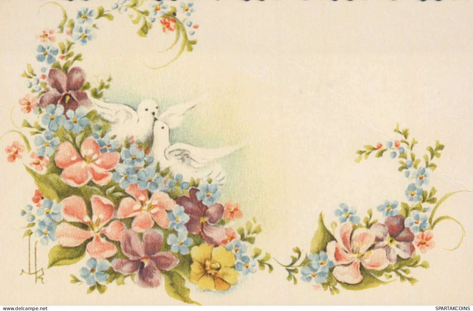 OISEAU Vintage Carte Postale CPSMPF #PKG956.FR - Pájaros