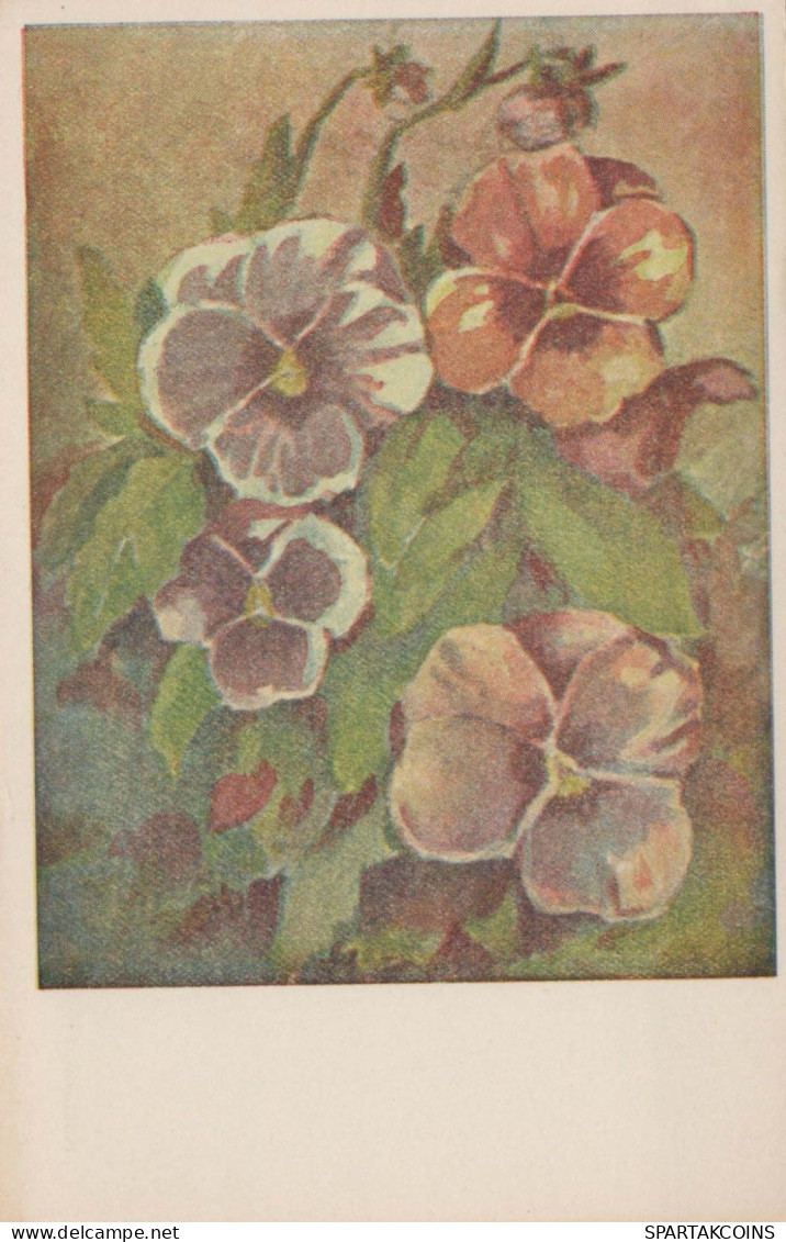 FLEURS Vintage Carte Postale CPSMPF #PKG019.FR - Flowers