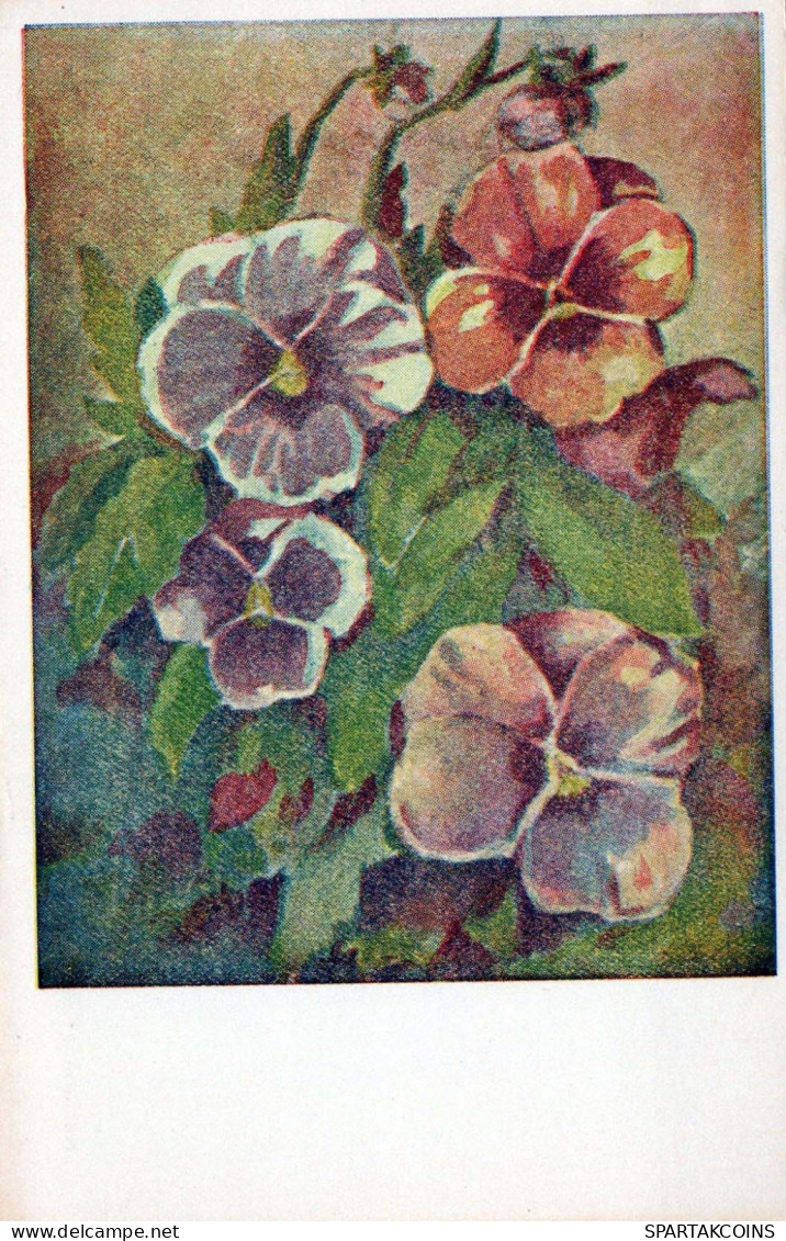 FLEURS Vintage Carte Postale CPSMPF #PKG019.FR - Flowers