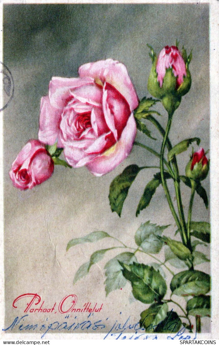 FLEURS Vintage Carte Postale CPA #PKE657.FR - Flowers