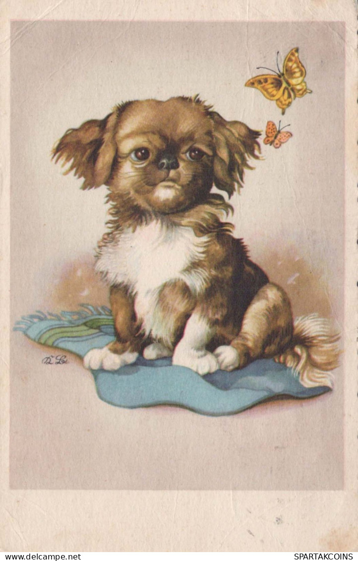 CHIEN Animaux Vintage Carte Postale CPA #PKE782.FR - Cani