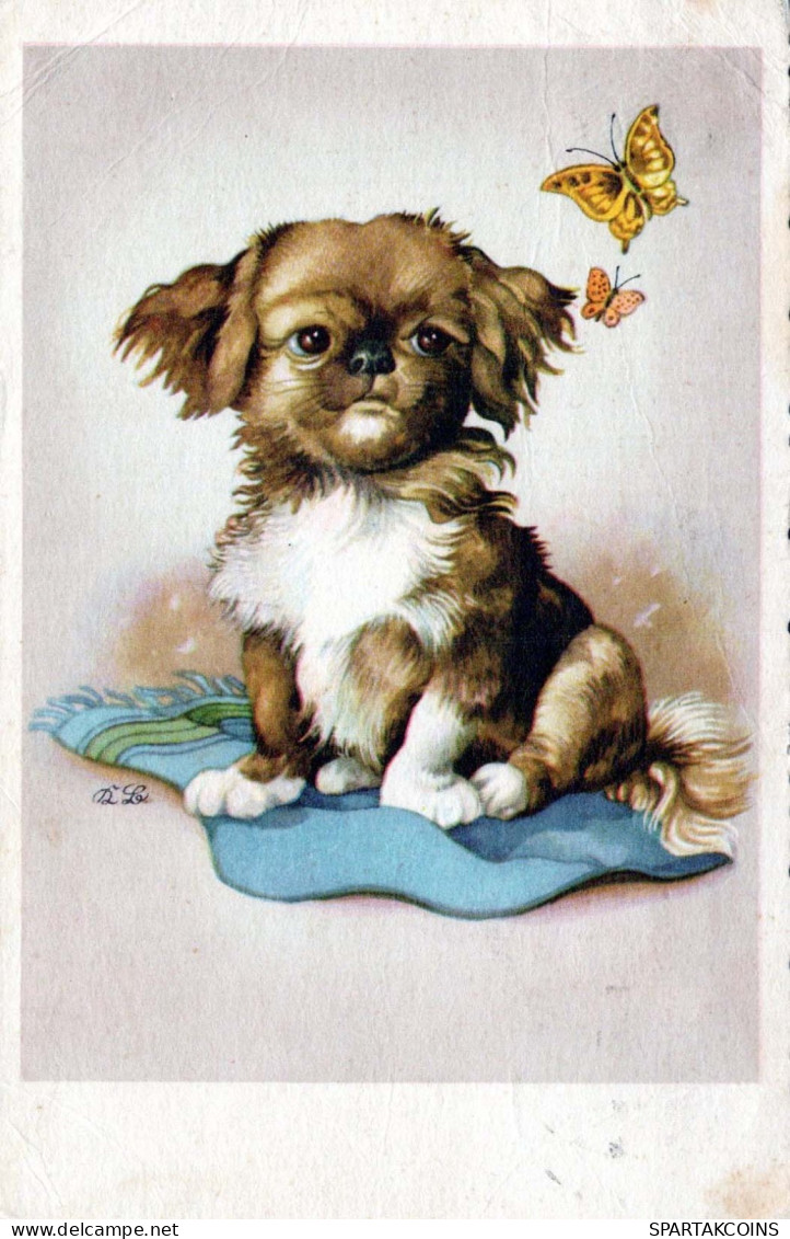 CHIEN Animaux Vintage Carte Postale CPA #PKE782.FR - Cani