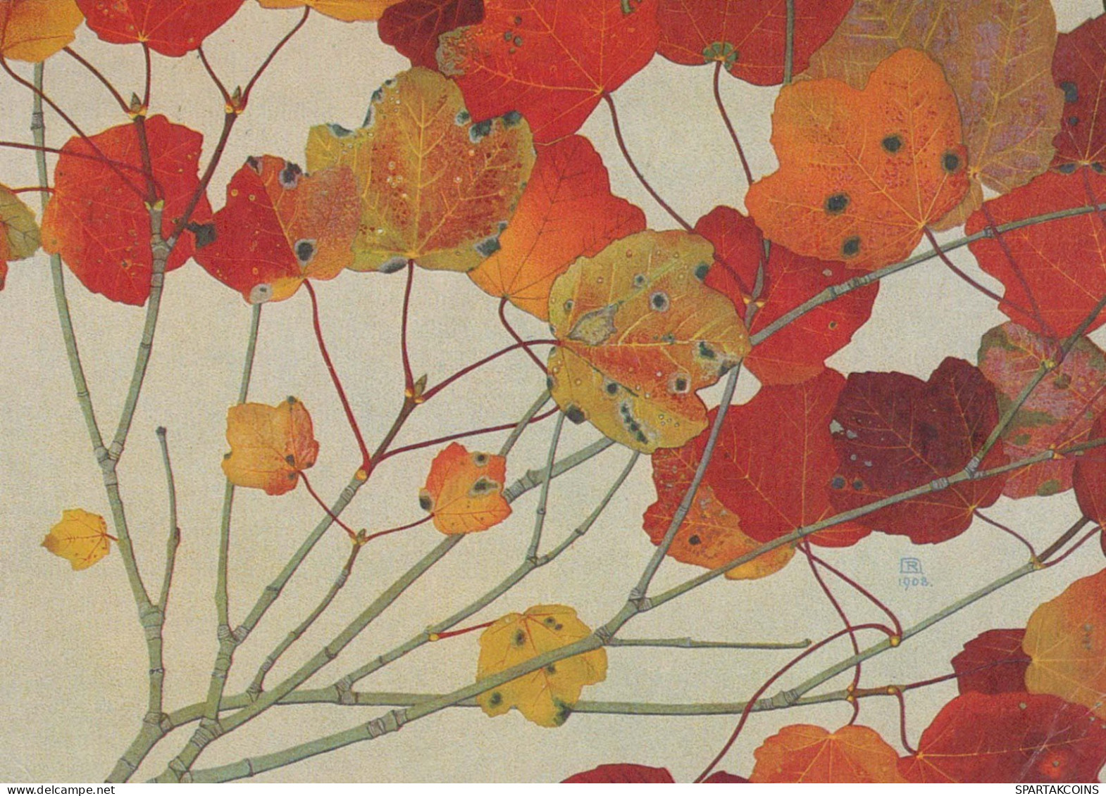 ARBRES Vintage Carte Postale CPSM #PBZ965.FR - Bäume