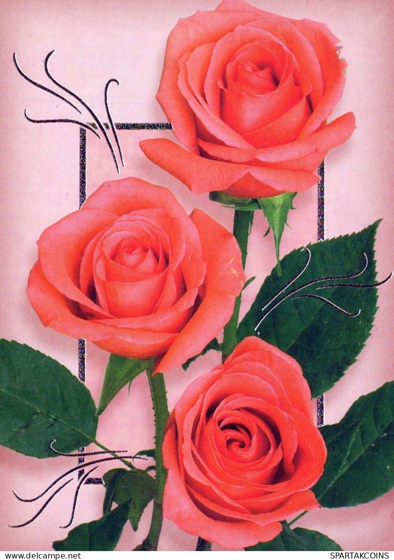 FLEURS Vintage Carte Postale CPSM #PBZ481.FR - Flowers