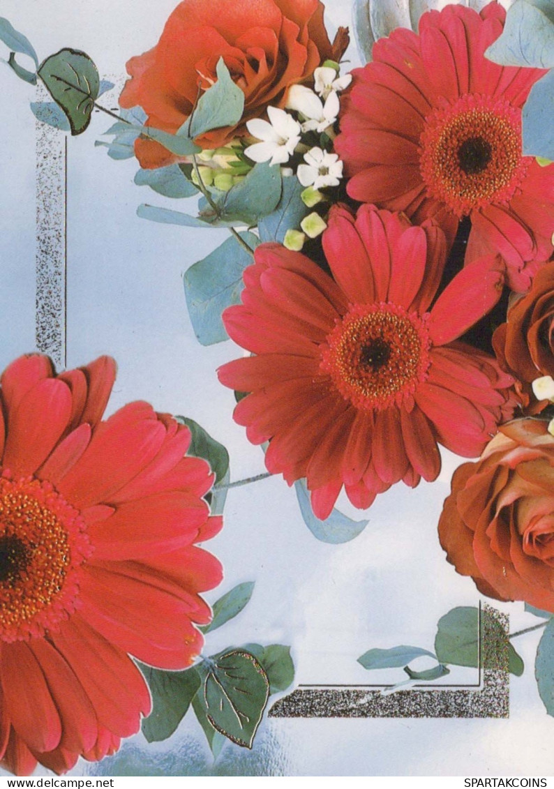 FLEURS Vintage Carte Postale CPSM #PBZ601.FR - Flowers