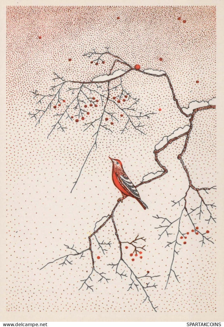 OISEAU Animaux Vintage Carte Postale CPSM #PBR470.FR - Birds