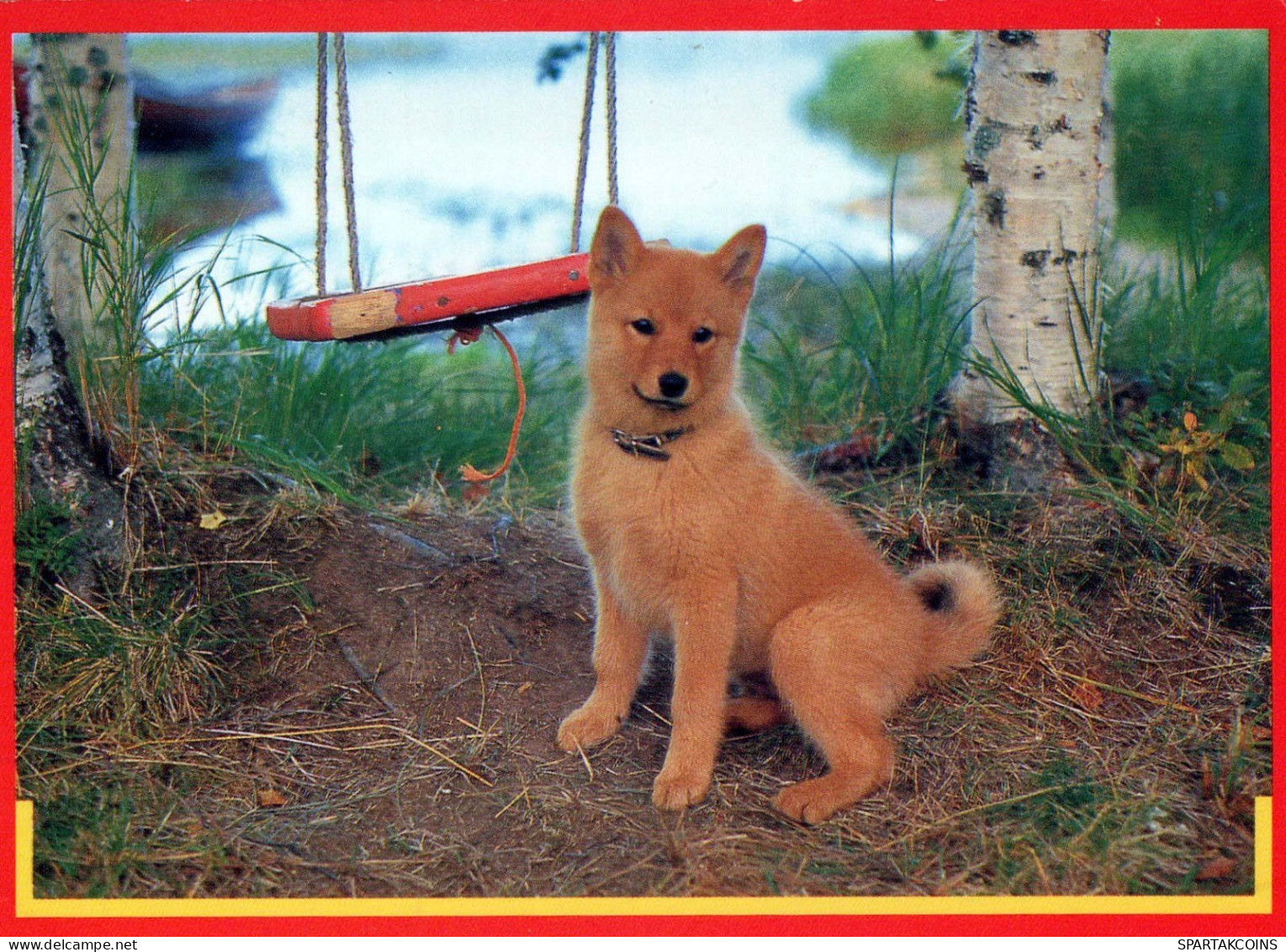 CHIEN Animaux Vintage Carte Postale CPSM #PBQ353.FR - Cani