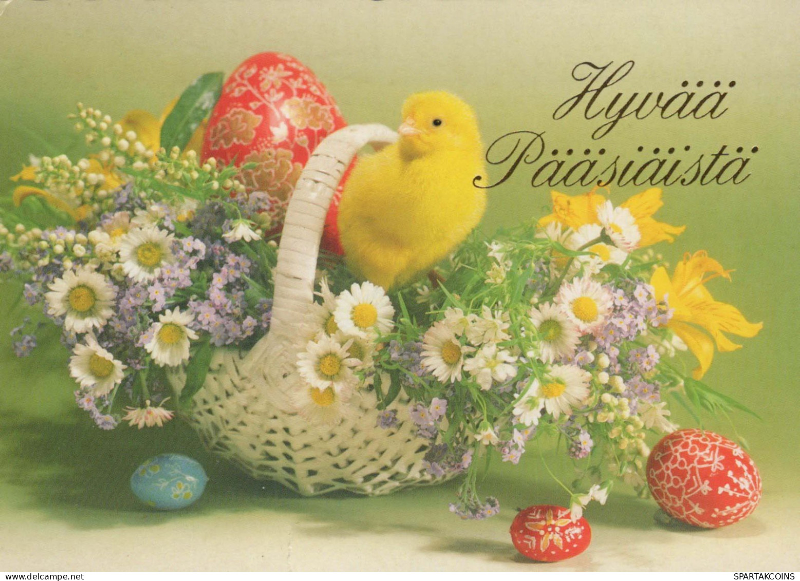 PÂQUES POULET ŒUF Vintage Carte Postale CPSM #PBP088.FR - Easter