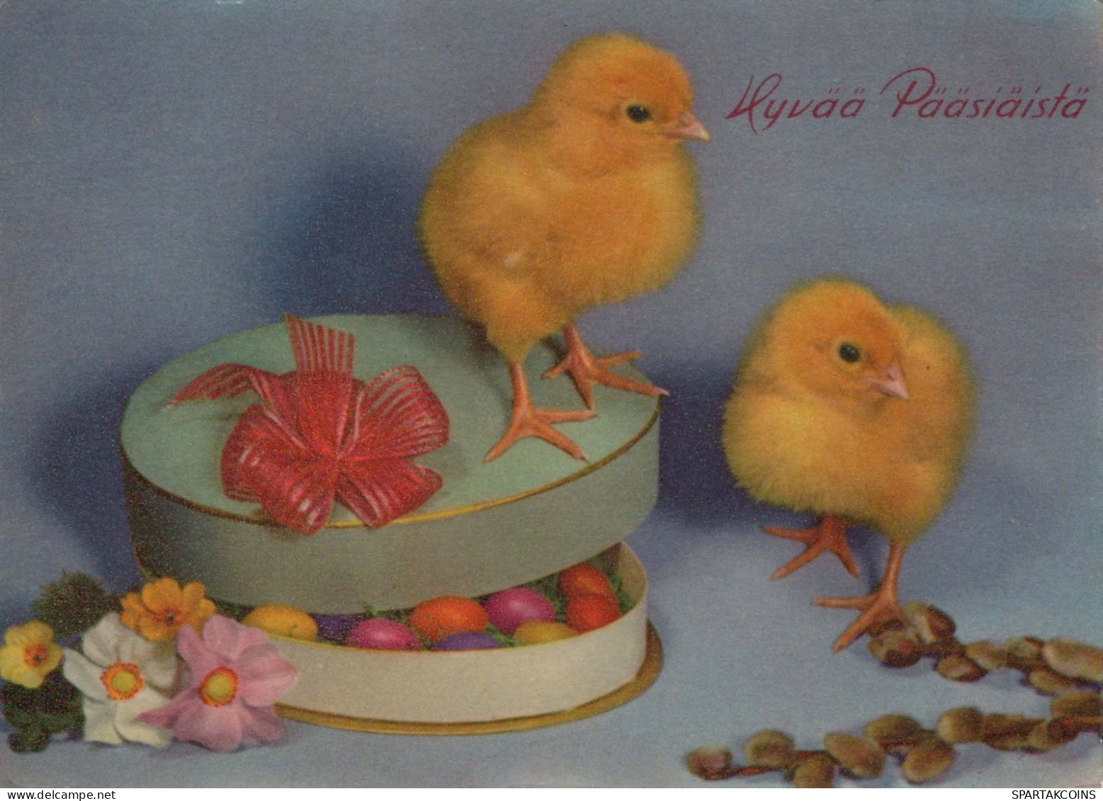 PÂQUES POULET ŒUF Vintage Carte Postale CPSM #PBO897.FR - Easter
