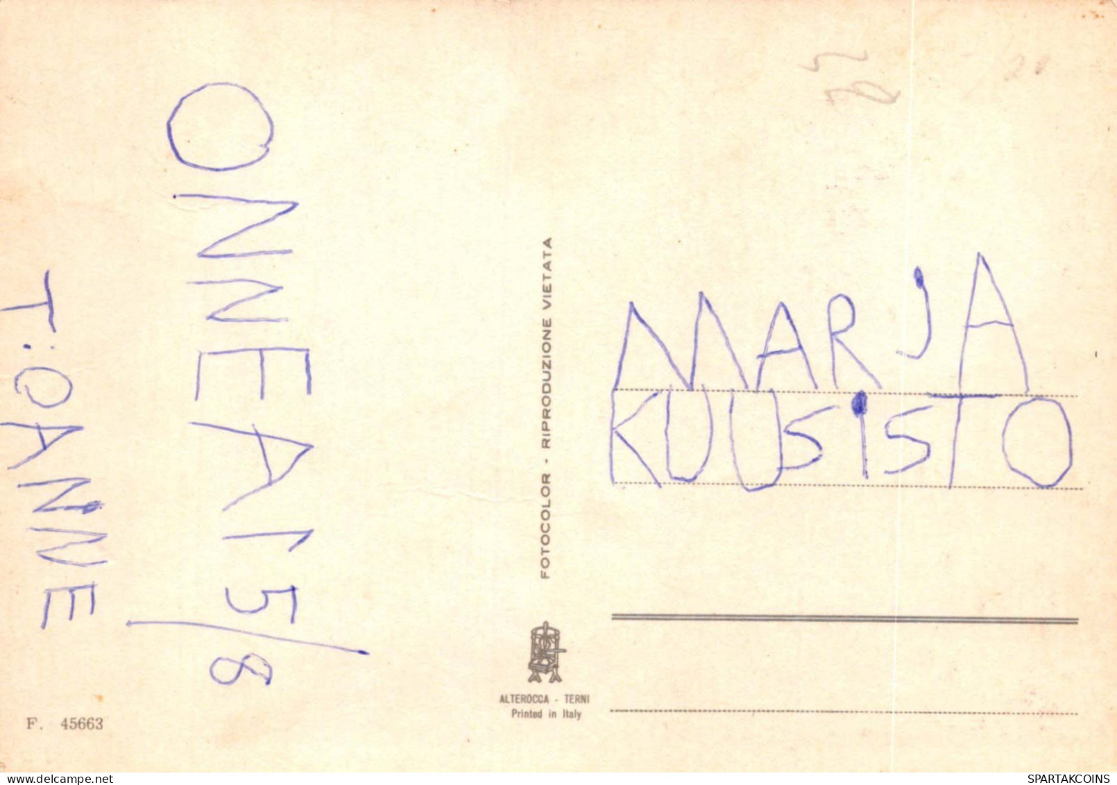 FIORI Vintage Cartolina CPSM #PAS016.IT - Fleurs