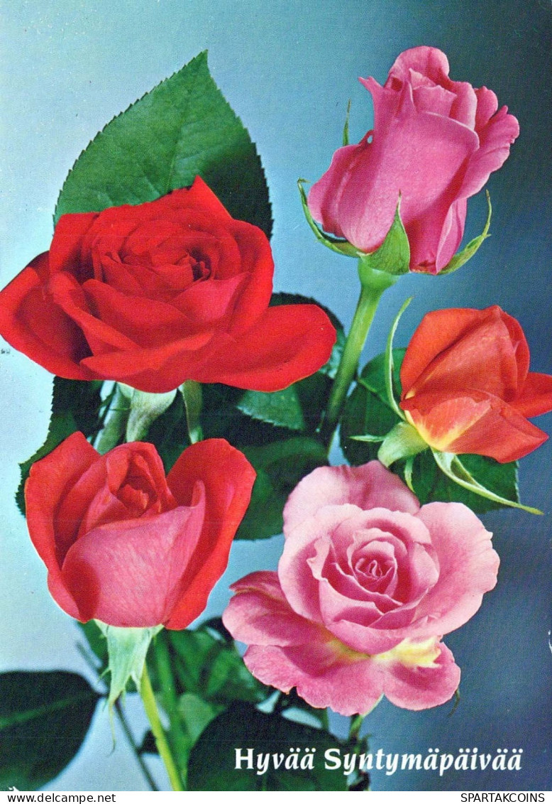 FIORI Vintage Cartolina CPSM #PAS680.IT - Flowers