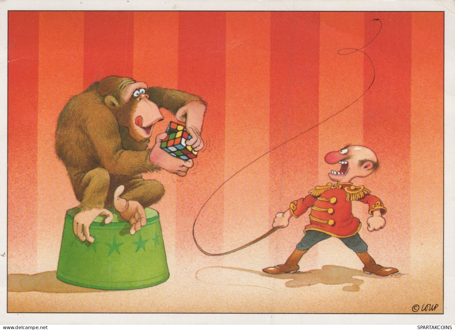 SCIMMIA Animale Vintage Cartolina CPSM #PAN992.IT - Singes