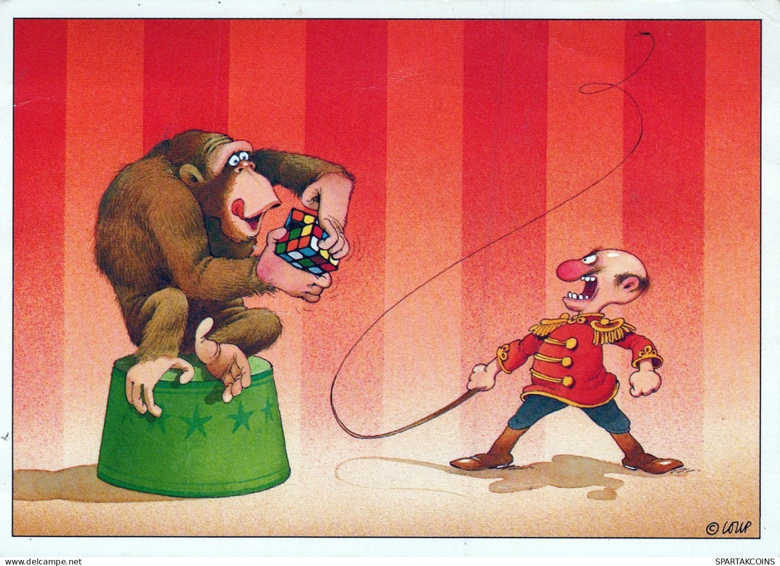 SCIMMIA Animale Vintage Cartolina CPSM #PAN992.IT - Monkeys