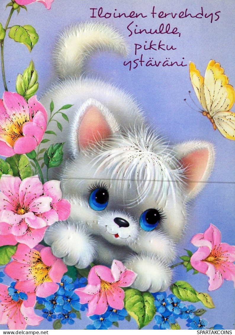 GATTO KITTY Animale Vintage Cartolina CPSM #PAM217.IT - Cats