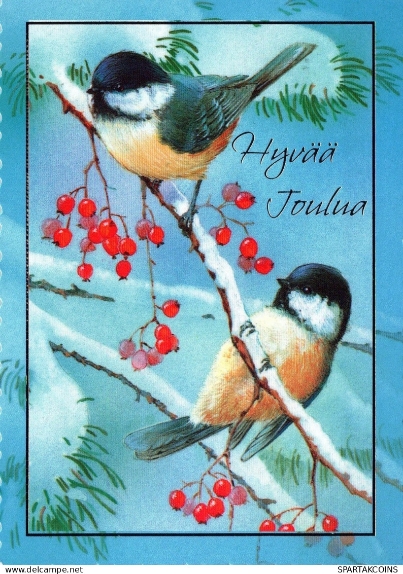 UCCELLO Animale Vintage Cartolina CPSM #PAM971.IT - Birds