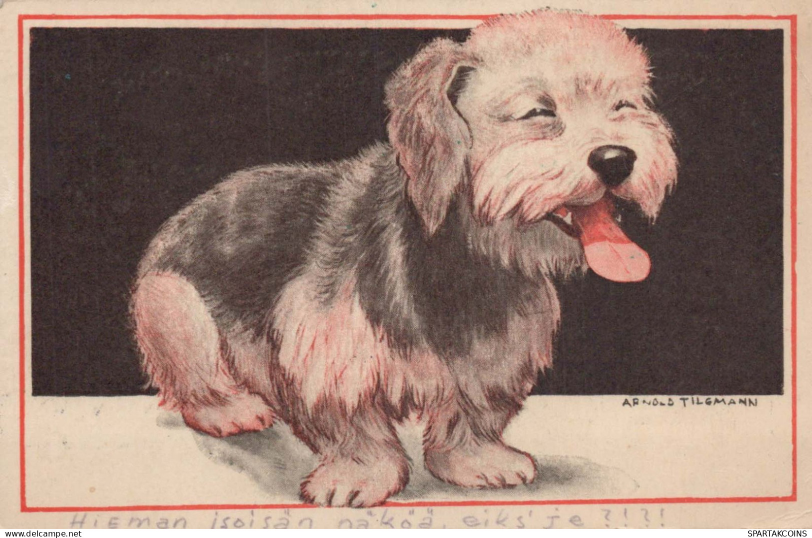 HUND Tier Vintage Ansichtskarte Postkarte CPA #PKE783.DE - Cani