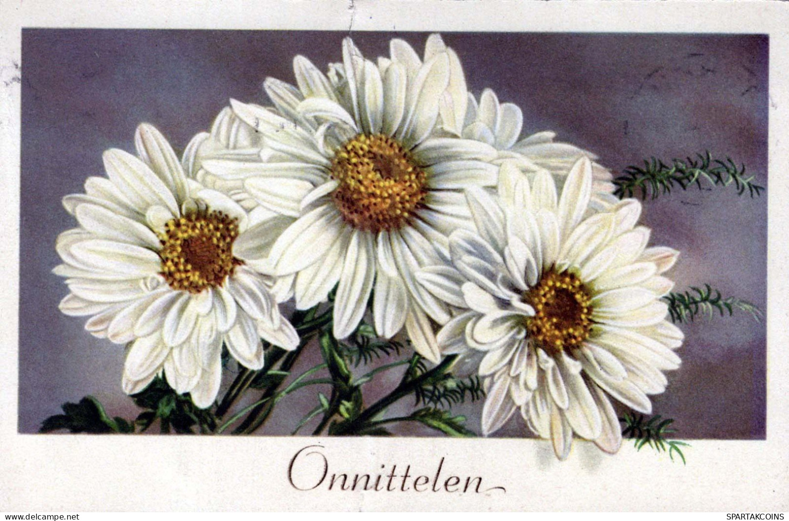 FLOWERS Vintage Ansichtskarte Postkarte CPA #PKE718.DE - Blumen