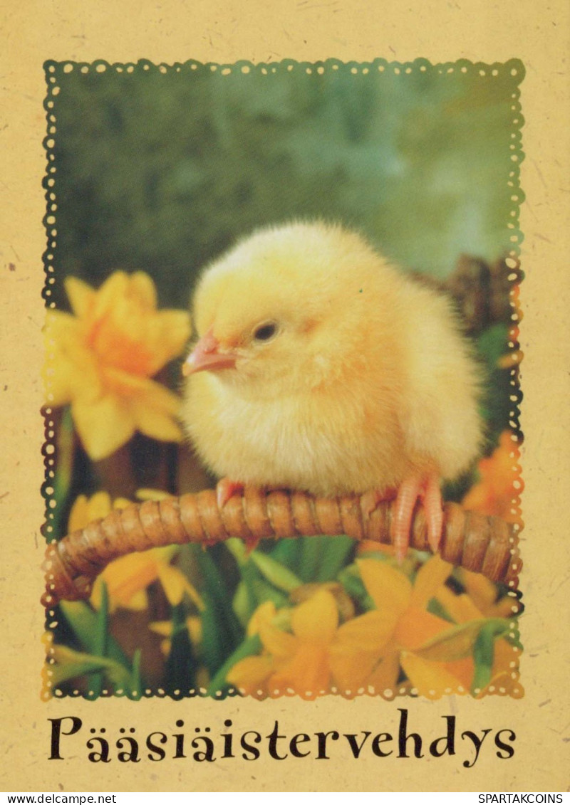 OSTERN HUHN EI Vintage Ansichtskarte Postkarte CPSM #PBP027.DE - Easter