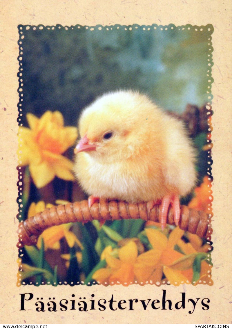 OSTERN HUHN EI Vintage Ansichtskarte Postkarte CPSM #PBP027.DE - Easter