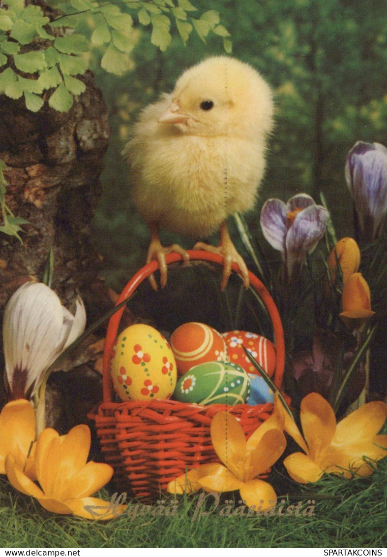 OSTERN HUHN EI Vintage Ansichtskarte Postkarte CPSM #PBP150.DE - Pâques