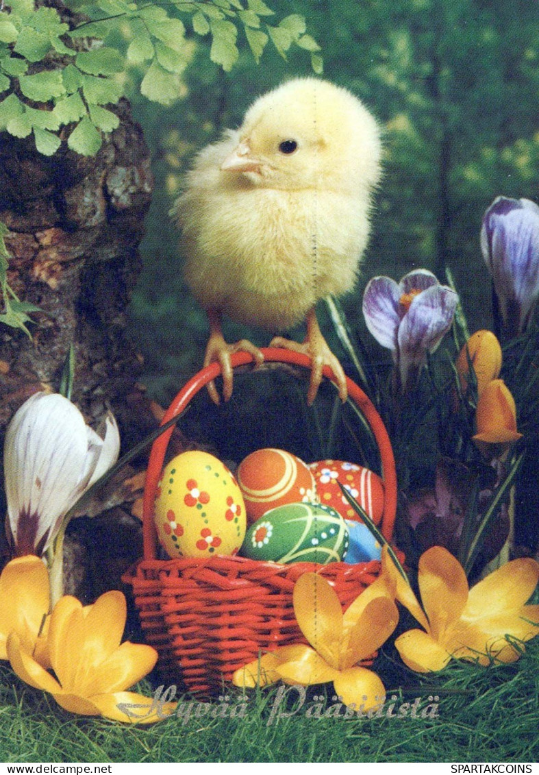 OSTERN HUHN EI Vintage Ansichtskarte Postkarte CPSM #PBP150.DE - Pâques