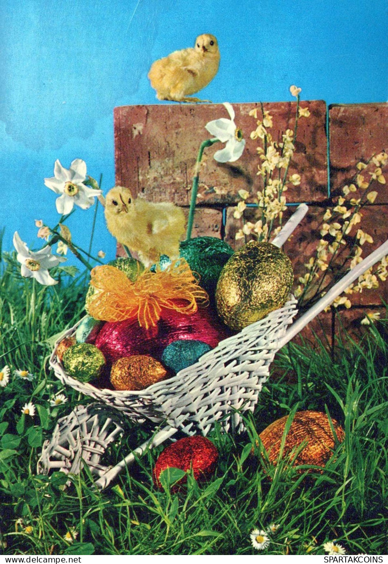 OSTERN HUHN EI Vintage Ansichtskarte Postkarte CPSM #PBO709.DE - Easter