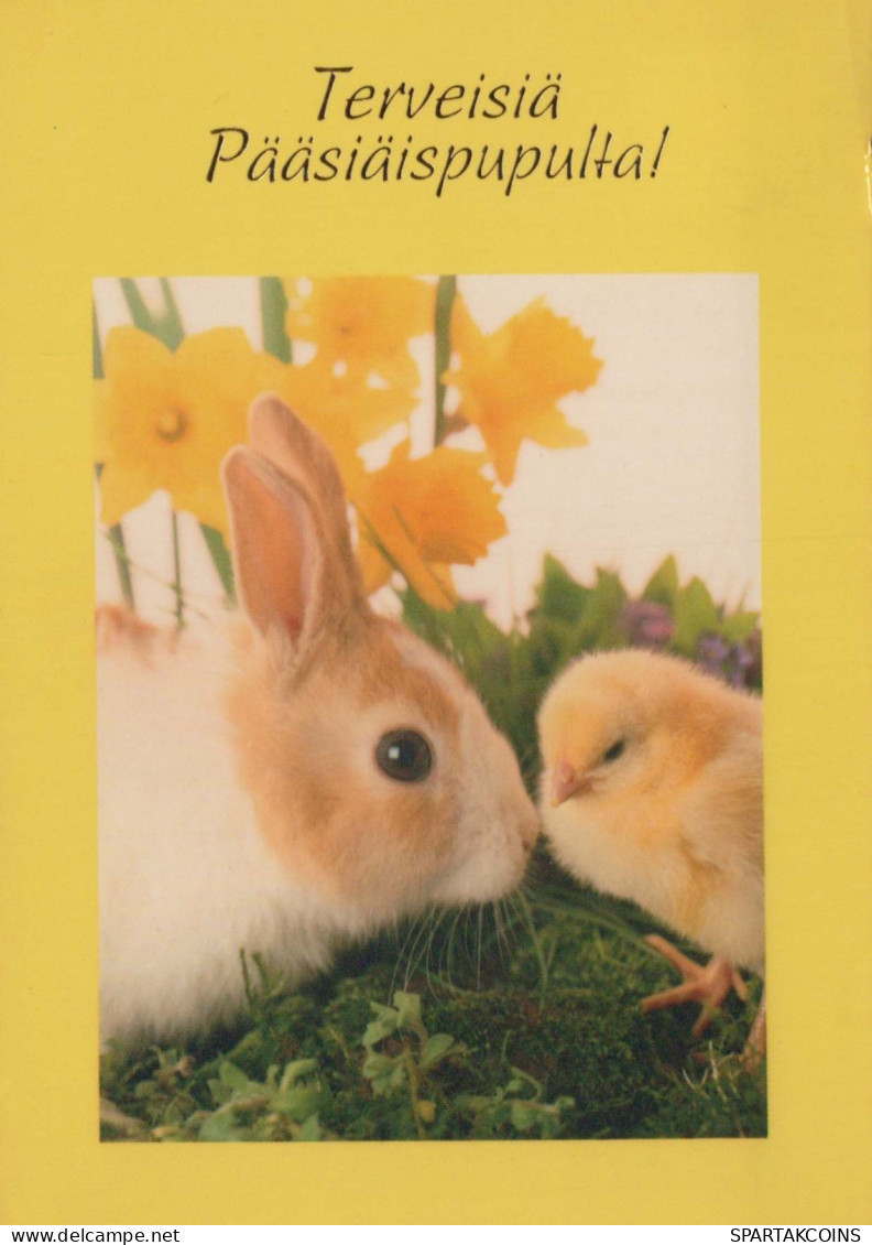 OSTERN KANINCHEN Vintage Ansichtskarte Postkarte CPSM #PBO458.DE - Easter