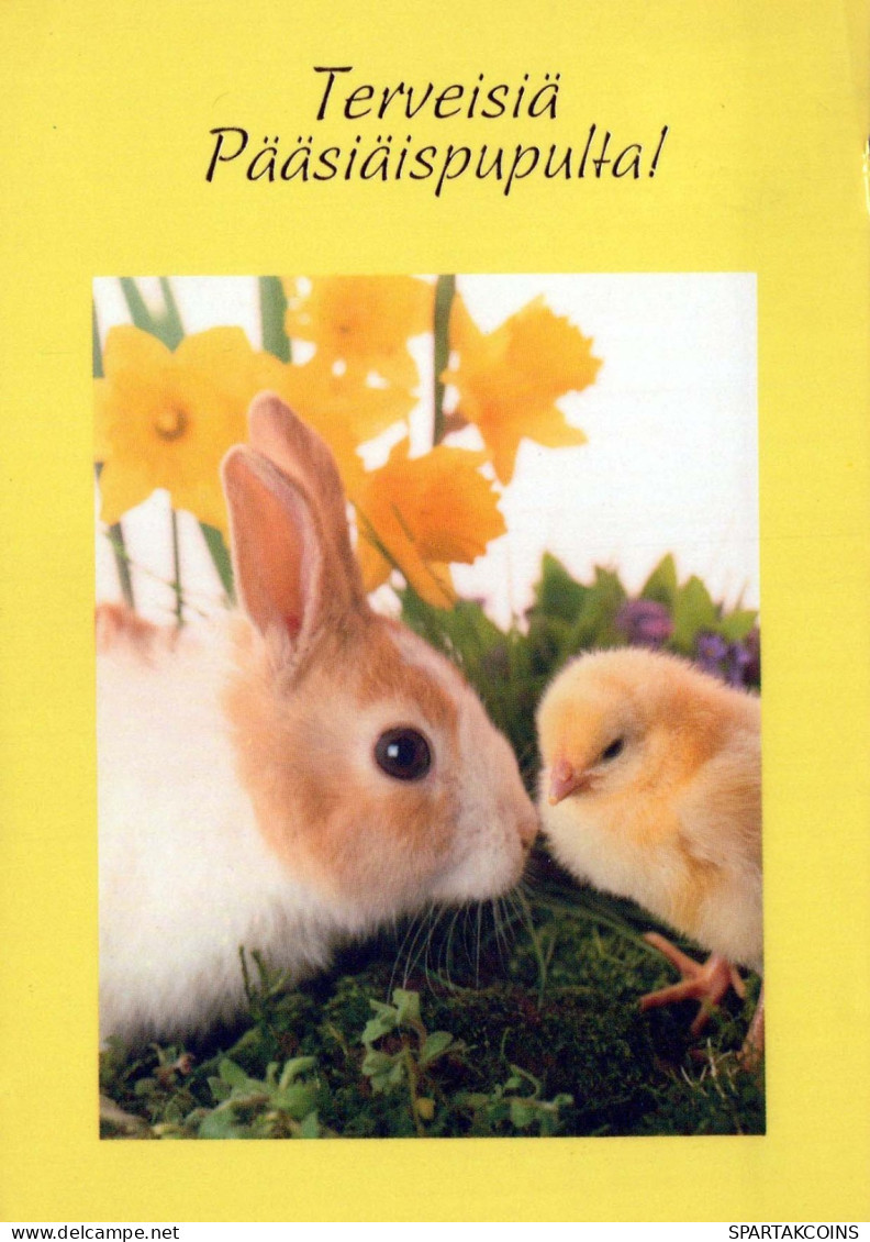 OSTERN KANINCHEN Vintage Ansichtskarte Postkarte CPSM #PBO458.DE - Easter
