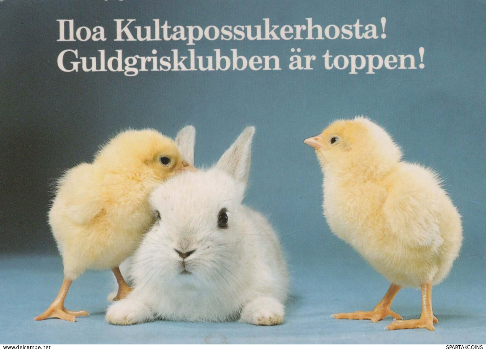 OSTERN HUHN EI Vintage Ansichtskarte Postkarte CPSM #PBO836.DE - Easter