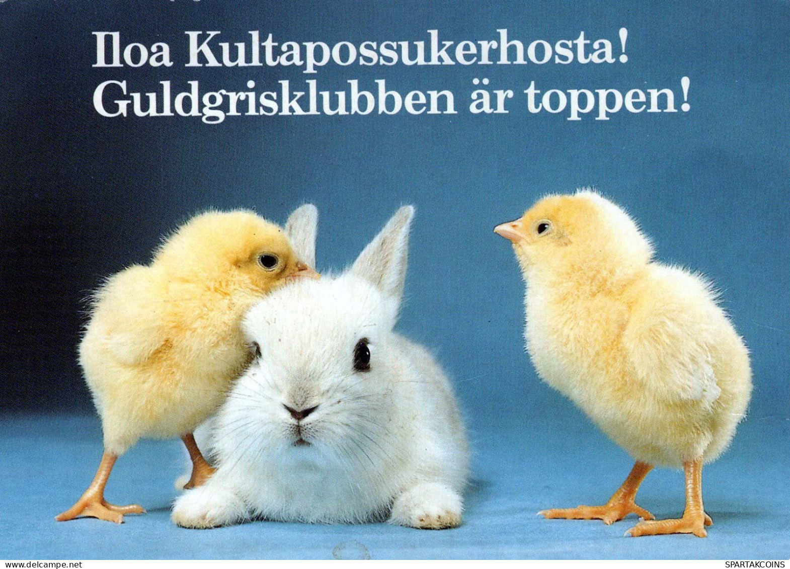 OSTERN HUHN EI Vintage Ansichtskarte Postkarte CPSM #PBO836.DE - Easter