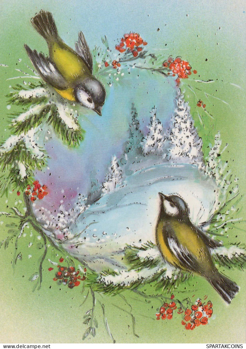 Neujahr Weihnachten VOGEL Vintage Ansichtskarte Postkarte CPSM #PBM829.DE - Nouvel An