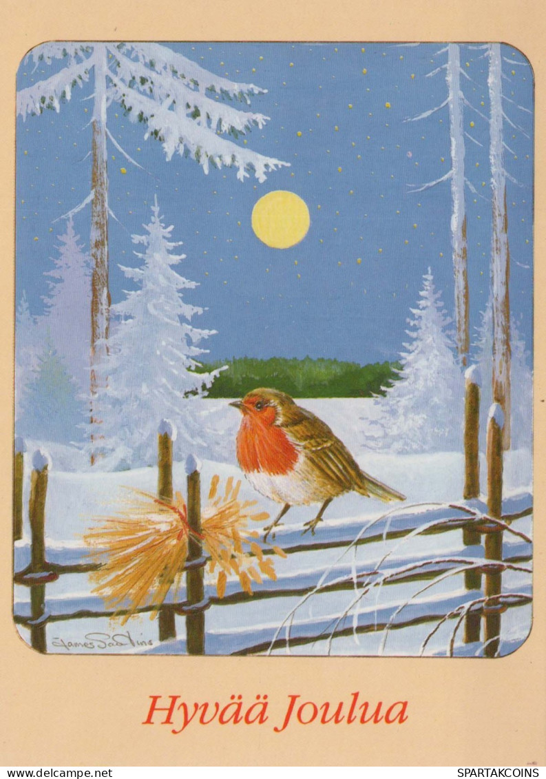 Neujahr Weihnachten VOGEL Vintage Ansichtskarte Postkarte CPSM #PBM640.DE - Nouvel An