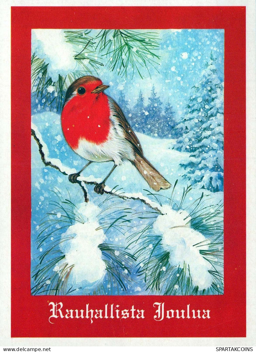 Neujahr Weihnachten VOGEL Vintage Ansichtskarte Postkarte CPSM #PBM580.DE - Nouvel An