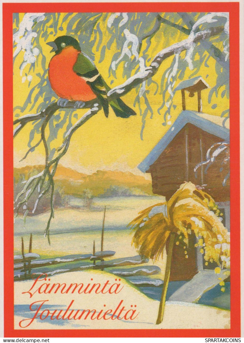 Neujahr Weihnachten VOGEL Vintage Ansichtskarte Postkarte CPSM #PBM706.DE - Nouvel An