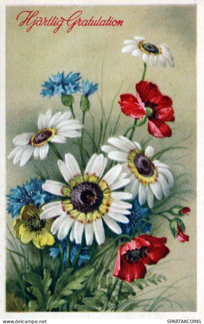 FIORI Vintage Cartolina CPA #PKE719.IT - Fleurs