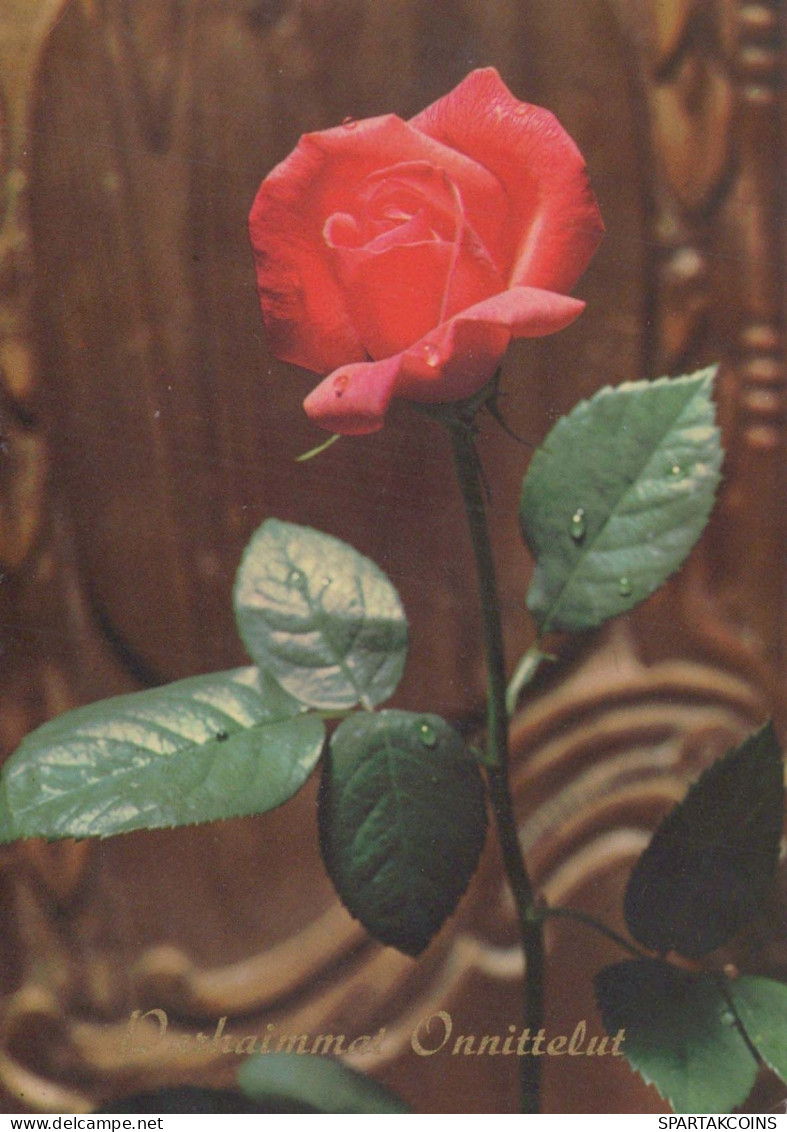 FIORI Vintage Cartolina CPSM #PBZ423.IT - Flowers