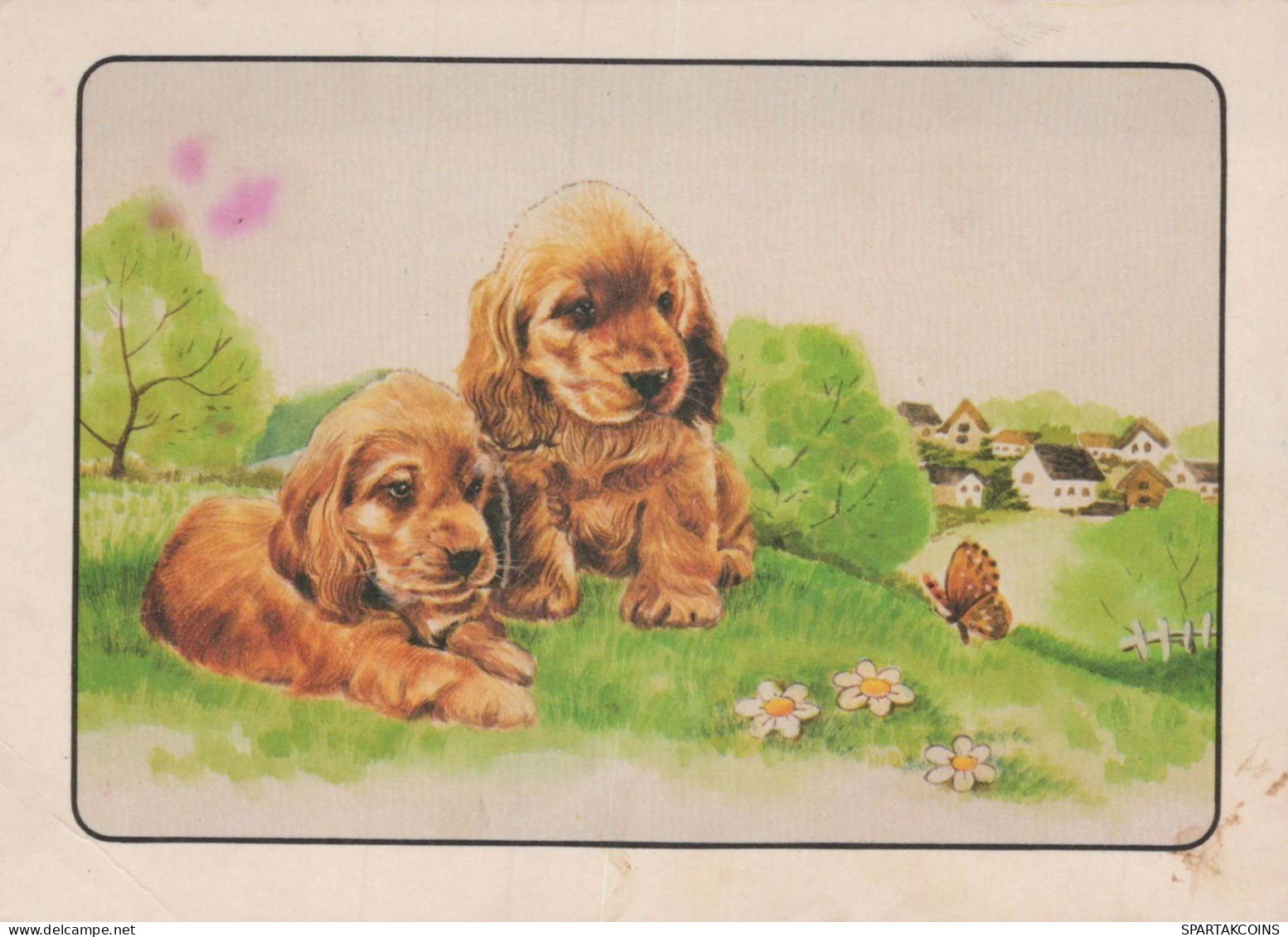 CANE Animale Vintage Cartolina CPSM #PBQ488.IT - Chiens