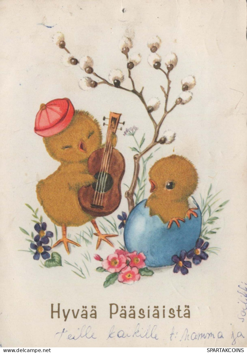 PASQUA POLLO UOVO Vintage Cartolina CPSM #PBO771.IT - Ostern