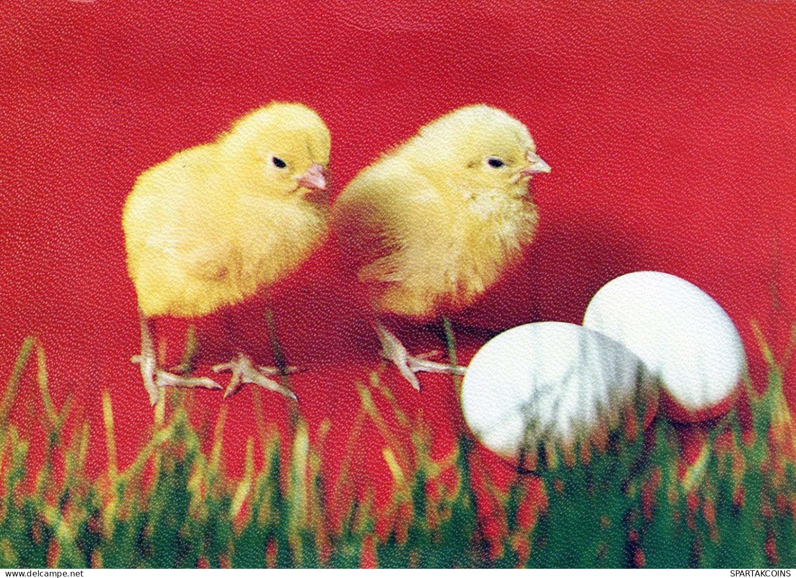 PASQUA POLLO UOVO Vintage Cartolina CPSM #PBO899.IT - Easter